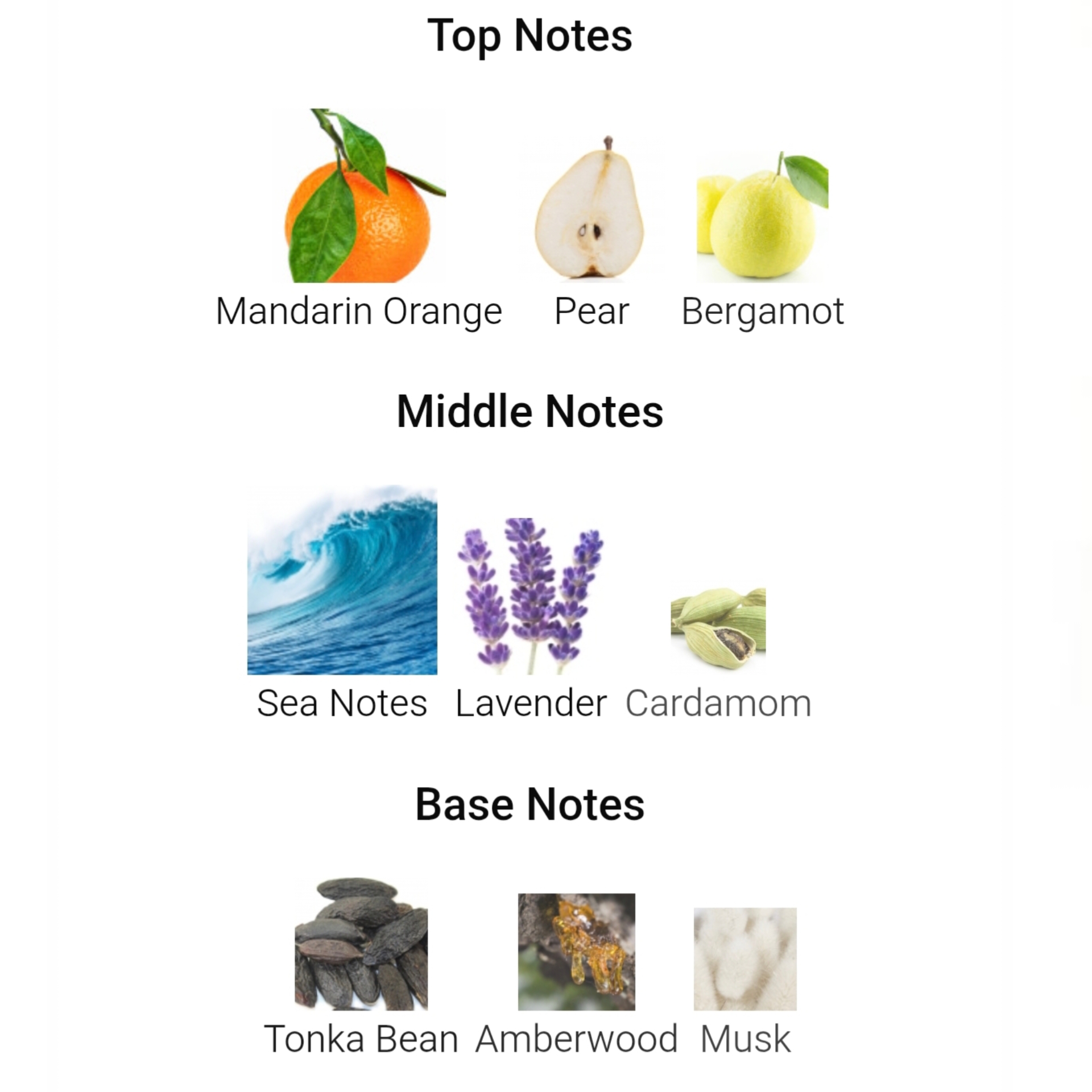 CR7 PLAY IT COOOL - Image 4